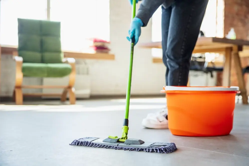 Fresh Bubbles Cleaning Services LLC, House Cleaning Illinois, House Cleaning IL, House Cleaning Mundelein Illinois, House Cleaning Mundelein IL, Deep Cleaning Mundelein Illinois, Deep Cleaning Mundelein IL, Move Out/In Cleaning Mundelein Illinois, Move Out/In Cleaning Mundelein IL, Airbnb Cleaning Mundelein Illinois, Airbnb Cleaning Mundelein IL, Construction Cleaning Mundelein Illinois, Construction Cleaning Mundelein IL, Commercial Cleaning Mundelein Illinois, Commercial Cleaning Mundelein IL, House Cleaning Vernon Hills Illinois, House Cleaning Vernon Hills IL, Deep Cleaning Vernon Hills Illinois, Deep Cleaning Vernon Hills IL, Move Out/In Cleaning Vernon Hills Illinois, Move Out/In Cleaning Vernon Hills IL, Airbnb Cleaning Vernon Hills Illinois, Airbnb Cleaning Vernon Hills IL, Construction Cleaning Vernon Hills Illinois, Construction Cleaning Vernon Hills IL, Commercial Cleaning Vernon Hills Illinois, Commercial Cleaning Vernon Hills IL, House Cleaning Lake Forest Illinois, House Cleaning Lake Forest IL, Deep Cleaning Lake Forest Illinois, Deep Cleaning Lake Forest IL, Move Out/In Cleaning Lake Forest Illinois, Move Out/In Cleaning Lake Forest IL, Airbnb Cleaning Lake Forest Illinois, Airbnb Cleaning Lake Forest IL, Construction Cleaning Lake Forest Illinois, Construction Cleaning Lake Forest IL, Commercial Cleaning Lake Forest Illinois, Commercial Cleaning Lake Forest IL, House Cleaning Buffalo Grove Illinois, House Cleaning Buffalo Grove IL, Deep Cleaning Buffalo Grove Illinois, Deep Cleaning Buffalo Grove IL, Move Out/In Cleaning Buffalo Grove Illinois, Move Out/In Cleaning Buffalo Grove IL, Airbnb Cleaning Buffalo Grove Illinois, Airbnb Cleaning Buffalo Grove IL, Construction Cleaning Buffalo Grove Illinois, Construction Cleaning Buffalo Grove IL, Commercial Cleaning Buffalo Grove Illinois, Commercial Cleaning Buffalo Grove IL, House Cleaning Libertyville Illinois, House Cleaning Libertyville IL, Deep Cleaning Libertyville Illinois, Deep Cleaning Libertyville IL, Move Out/In Cleaning Libertyville Illinois, Move Out/In Cleaning Libertyville IL, Airbnb Cleaning Libertyville Illinois, Airbnb Cleaning Libertyville IL, Construction Cleaning Libertyville Illinois, Construction Cleaning Libertyville IL, Commercial Cleaning Libertyville Illinois, Commercial Cleaning Libertyville IL, House Cleaning Grayslake Illinois, House Cleaning Grayslake IL, Deep Cleaning Grayslake Illinois, Deep Cleaning Grayslake IL, Move Out/In Cleaning Grayslake Illinois, Move Out/In Cleaning Grayslake IL, Airbnb Cleaning Grayslake Illinois, Airbnb Cleaning Grayslake IL, Construction Cleaning Grayslake Illinois, Construction Cleaning Grayslake IL, Commercial Cleaning Grayslake Illinois, Commercial Cleaning Grayslake IL, House Cleaning Wauconda Illinois, House Cleaning Wauconda IL, Deep Cleaning Wauconda Illinois, Deep Cleaning Wauconda IL, Move Out/In Cleaning Wauconda Illinois, Move Out/In Cleaning Wauconda IL, Airbnb Cleaning Wauconda Illinois, Airbnb Cleaning Wauconda IL, Construction Cleaning Wauconda Illinois, Construction Cleaning Wauconda IL, Commercial Cleaning Wauconda Illinois, Commercial Cleaning Wauconda IL,